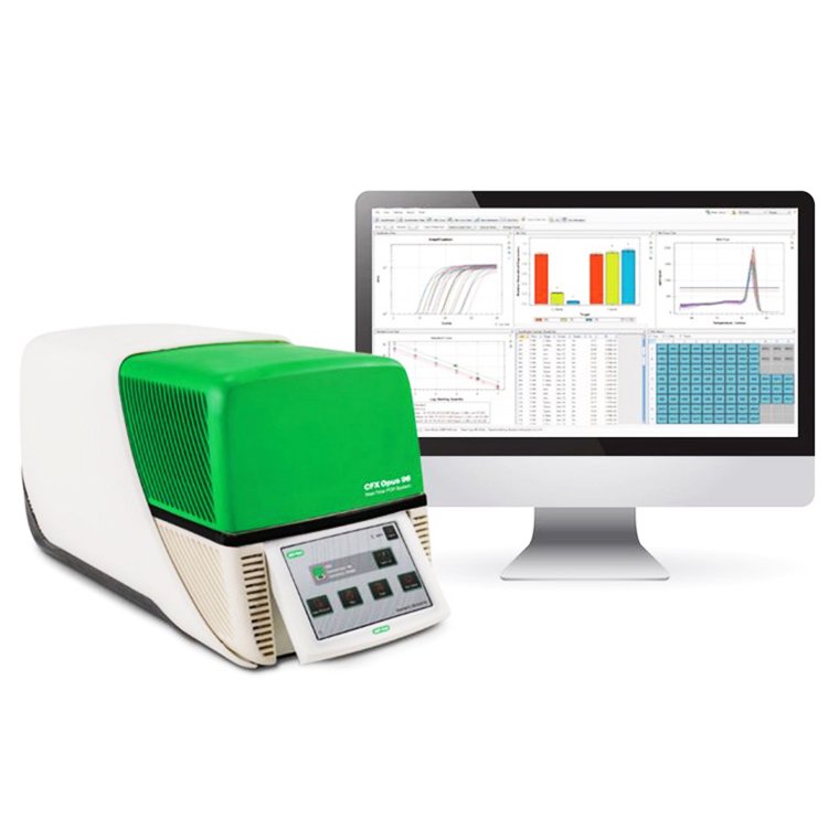 Roche 罗氏 LightCycler 480 II 实时荧光定量PCR仪（货号 05015278001）是一款高性能的实时定量PCR设备，广泛应用于基因表达分析、突变检测、基因分型、病原体检测等多种分子生物学研究领域。该仪器凭借其卓越的温控性能、灵敏的荧光检测系统，以及高通量的样本处理能力，成为实验室研究和临床诊断的理想选择。
<BR>
<BR>