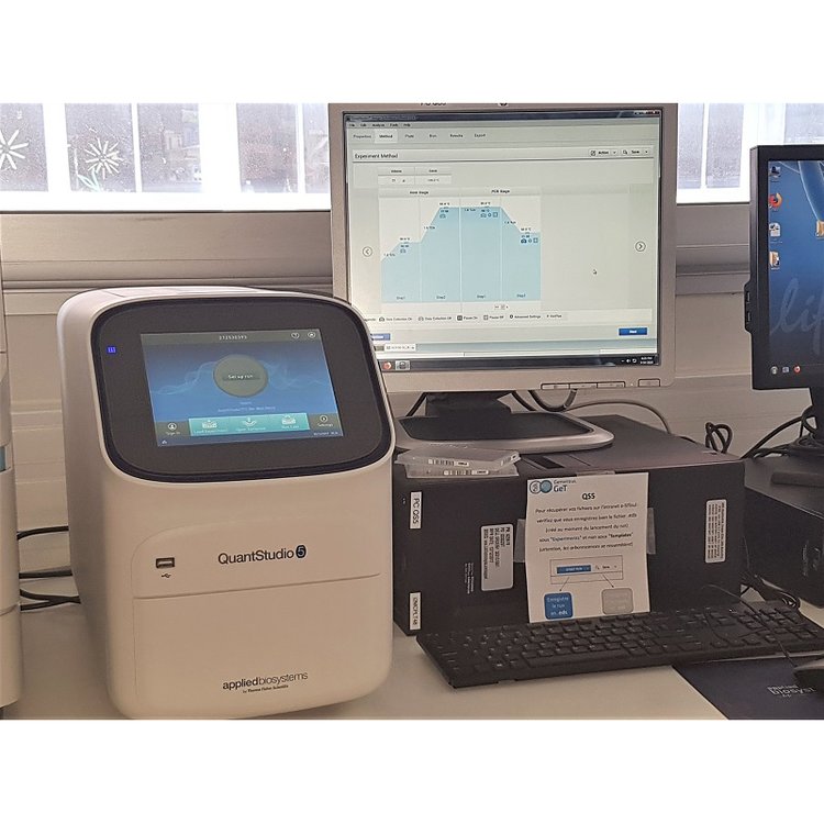 　　赛默飞 Thermo Scientific™ QS1 实时荧光定量 PCR 系统是一款先进的分子生物学仪器，专门用于实时监测和定量分析核酸扩增过程。该系统采用了先进的光学检测技术和高效的温度控制系统，能够精确、高效地定量DNA或RNA，广泛应用于基因表达分析、基因分型、病原体检测、突变分析、基因拷贝数检测等分子生物学领域。
<BR>
<BR>