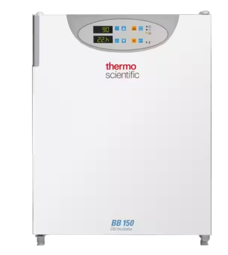 赛默飞二氧化碳培养箱（Thermo Scientific CO2 Incubator）4111型在细胞培养和生物实验中扮演着至关重要的角色。其主要功能是提供稳定的温度、湿度和二氧化碳浓度，以模拟生物体内的微环境，支持细胞或微生物的生长和繁殖。在长期的使用过程中，为了避免细菌或霉菌的污染，有些实验室选择在培养箱内安装紫外灯以进行空气消毒，预防污染源的存在。