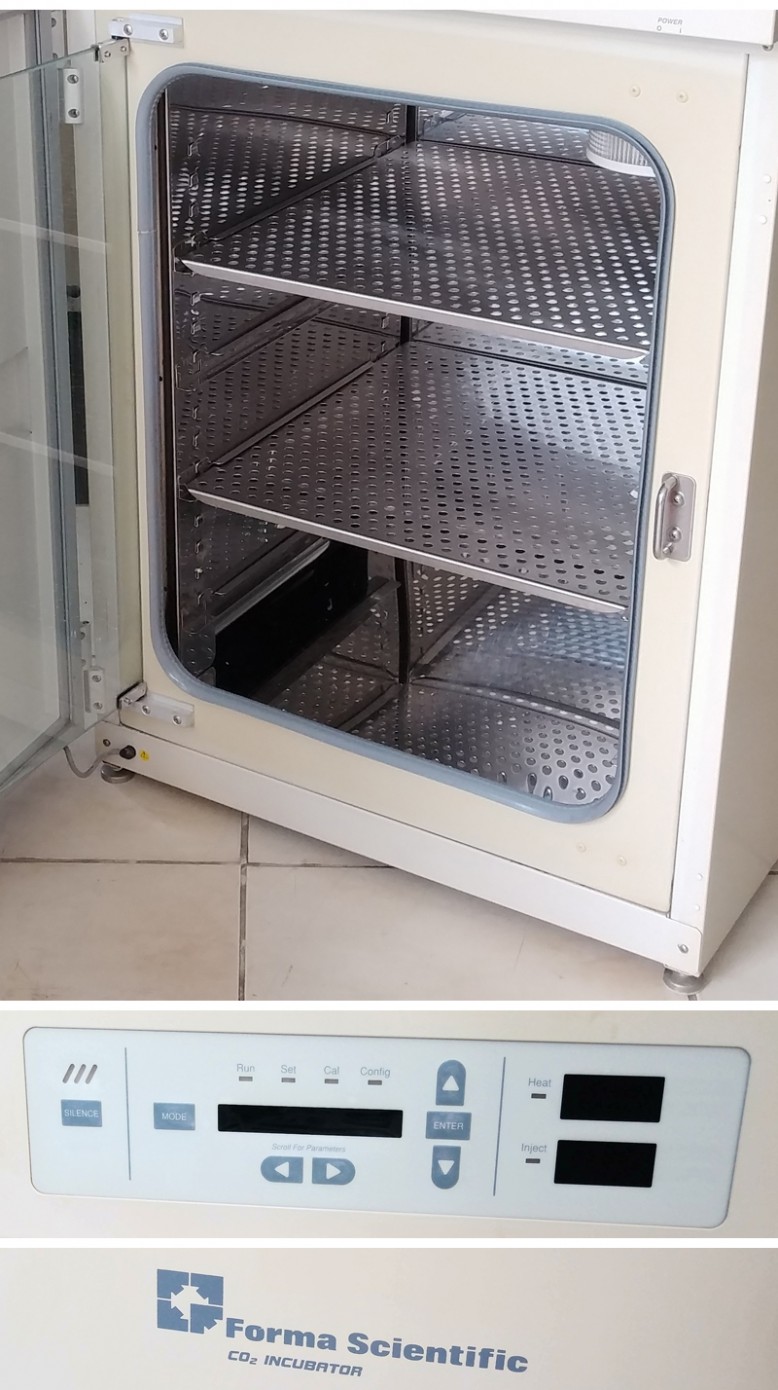 超温保护是赛默飞3111培养箱的重要安全功能,能在主温控系统失效时及时切断加热,防止细胞因过热死亡。设定方法如下:在正常显示界面下按“Mode”键进入SET模式,通过上下键选择OTEMP选项,按“Enter”确认,再调整数值至合适值。实了个验公司建议,对于37℃培养,将OTEMP设定为38℃;对于其他培养温度,一般设定值应高于培养温度1℃。设定完成后务必测试保护功能:可临时将OTEMP值调低至当前温度以下,此时应触发警报并停止加热,确认功能正常后恢复原设定值。值得注意的是,超温保护仅作为后备安全措施,不能替代日常温度监控。实了个验建议在赛默飞3111培养箱附近悬挂校准过的温度计,定期核对面板显示值,形成双重保障,确保细胞安全。